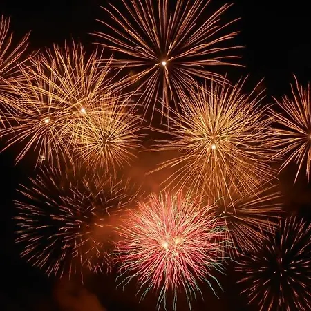 / Calme Pres De L'etang St Pierre. Amiens